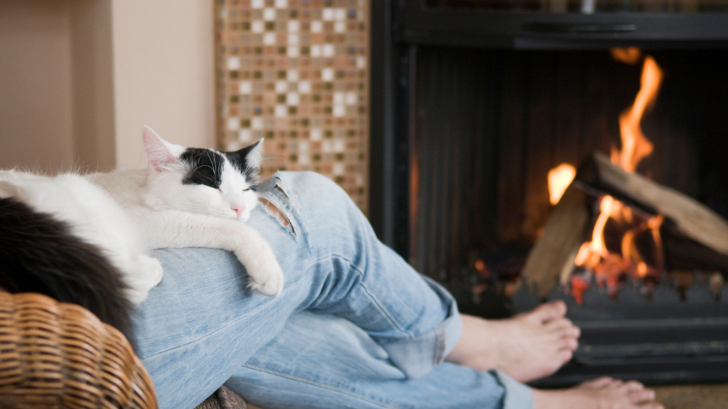 person relaxing by fireplace with a sleeping cat on their lap