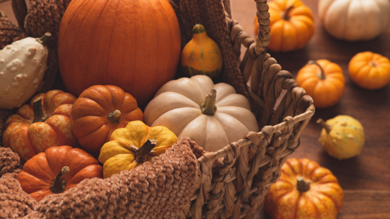 Easy Nature-Inspired Thanksgiving Decor for Busy Moms