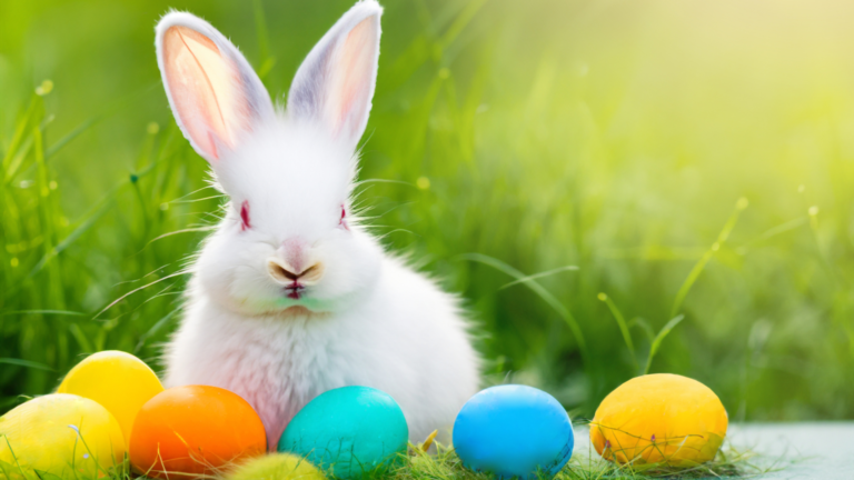 Easter Traditions Reimagined: Creating New Family Memories
