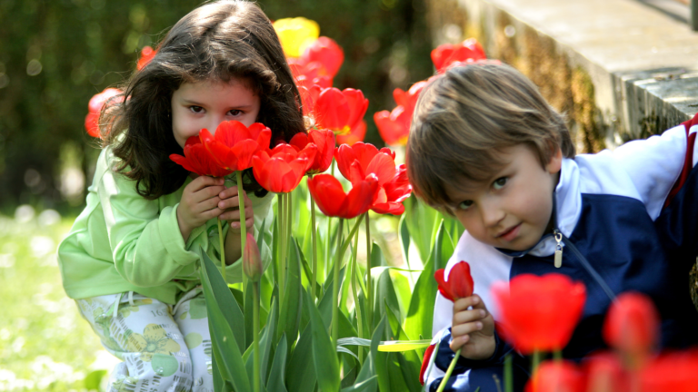 Spring Day Trip Ideas